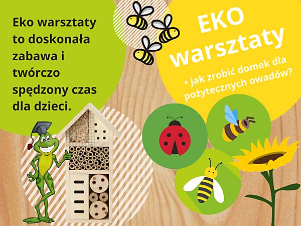 Grafika zajcia edukacyjne dla dzieci - eko warsztaty